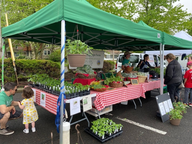 Farmer’s market. farm fresh veggies from living hope at the lansdale farmers’ market